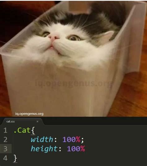 html css memes|open source meme.
